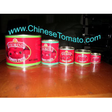 Fiorini Brand Tomato Paste 210g for Africa
